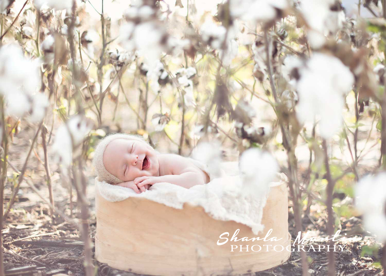 austin-baby-photography