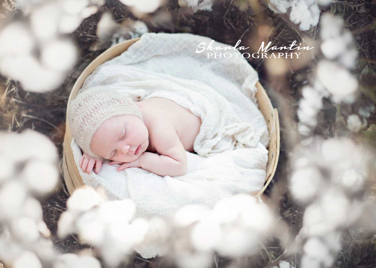 austin-newborn-photography