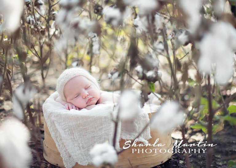 austin-newborn-photos