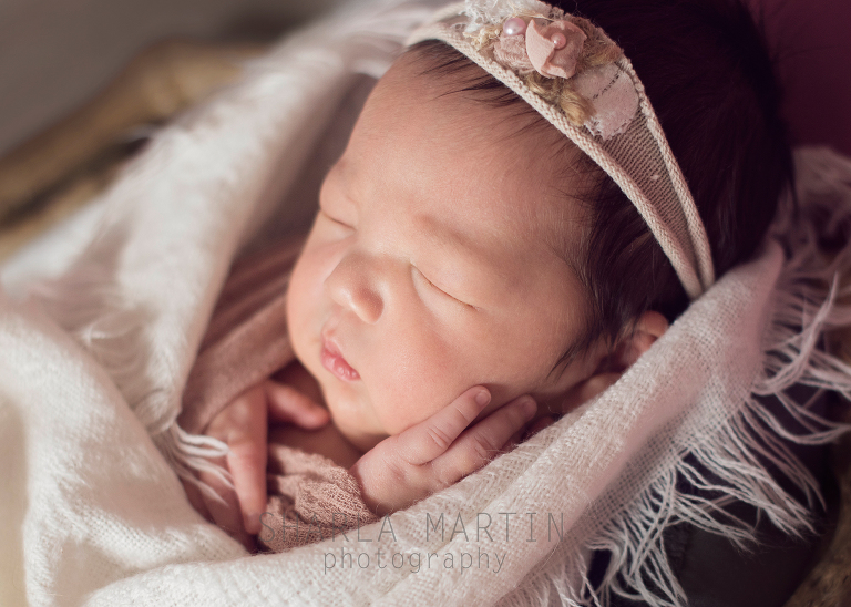 austin newborn photo