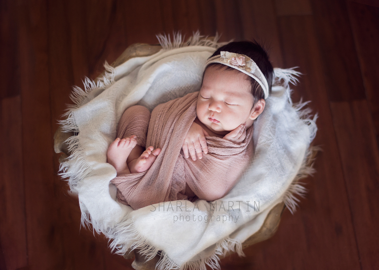 Austin newborn photograph