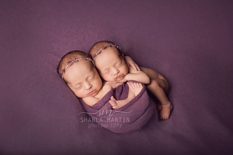 newborn twin photo shoot austin