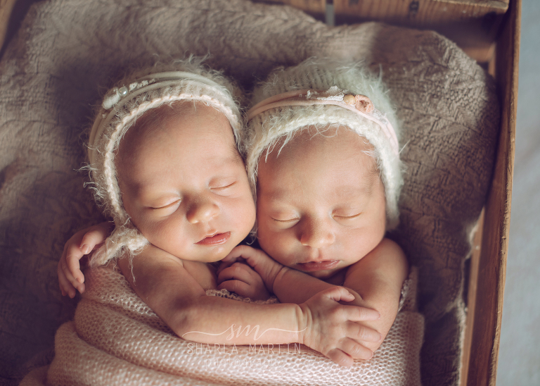 Newborn twin girls photos austin