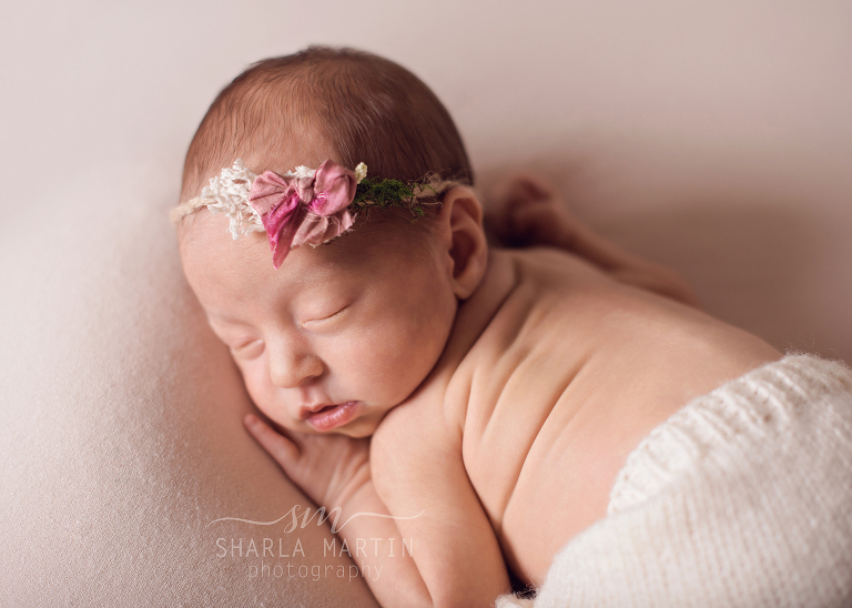 newborn baby photos austin