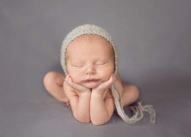 westlake newborn session