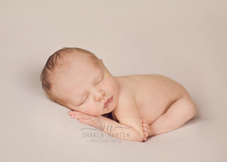 austin newborn photographer