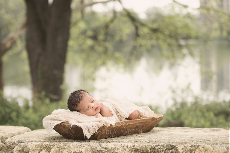 austin newborn outdoor session