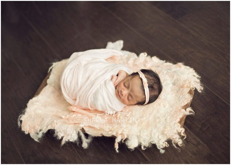 austn newborn photography