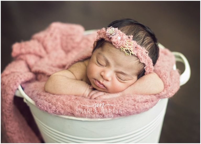 austin newborn photo