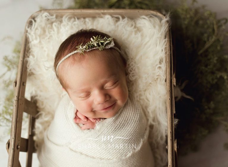 austin newborn photography