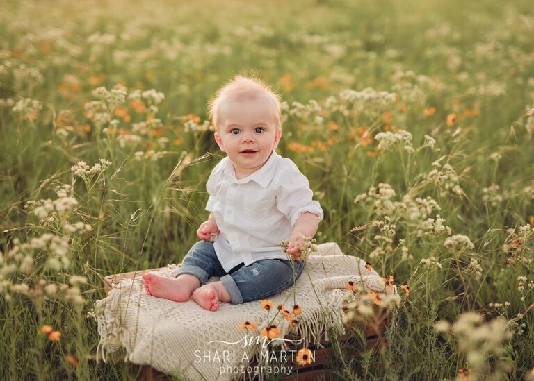 baby photos in wildflowers