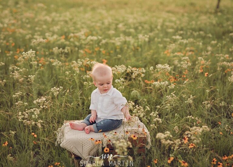 6 month old baby photo shoot